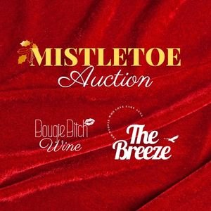 Mistletoe Auction for Single Moms logo