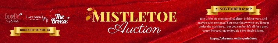 Mistletoe Auction for Single Moms